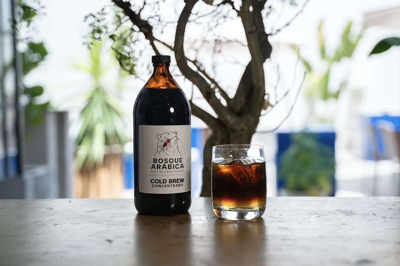 Concentrado cold brew al mayoreo en Guadalajara, listo para servir